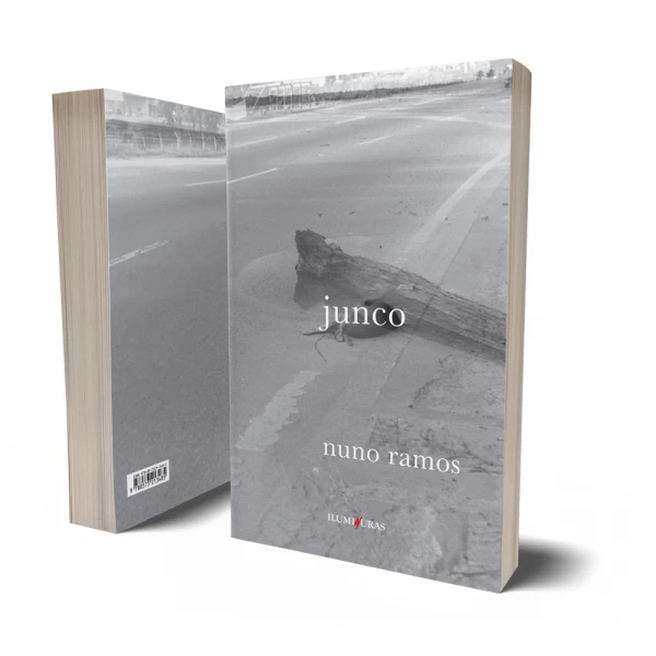 Junco