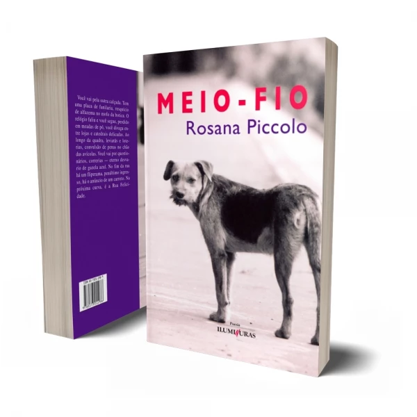 Meio-fio
